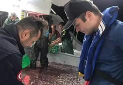 Hamsi avcılığına kota getirildi! Başvuru tarihi değişti