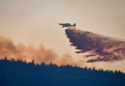 Kazdağları'na ziyaret giriş yasağı