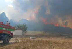 Ankara'da çıkan yangın Bolu'ya sıçradı! Köy boşaltıldı
