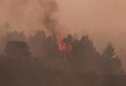 Ankara'da çıkıp Bolu'ya sıçrayan orman yangını kontrol altına alındıktan sonra yeniden başladı