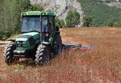 Çiftçilere bu yıl ödenecek bitkisel üretim destekleri belli oldu