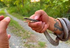 'Yılancı Kemal' cesaretiyle sınırları zorladı! 'İnsanlardan uzak dur, öldürürler seni'