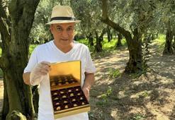 Altın kaplamalı zeytin! 'Taleplere yetişemiyoruz'