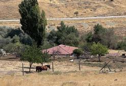 3 il büyüklüğündeki tarım arazisi, üretime kazandırılacak