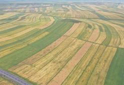 Bakanlık harekete geçti! Kredi ve hibe programları ile ilgili yeni adım