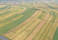 Bakanlık'tan tarımsal üretim planlaması ve teşviki adımı