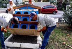 İzmir Bayraklı'da pati evlerinin sayısı artıyor