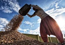 Gaziantep’in mutfak ve kültür zenginliği yeniden dünya sahnesinde! Festival başlayacak