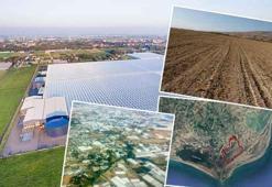 Adana’da tarımda devrim yaratacak proje! Avrupa’da bir ilk olacak: 5 bin kişiye istihdam imkanı ile fark yaratacak