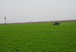 2025 yılına ilişkin ÇKS başvuruları 1 Eylül'de başlıyor