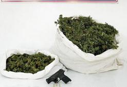 Bingöl’de 12 kilo esrar ele geçirildi! Gözaltına alındı
