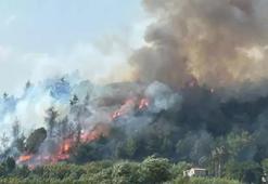 Antalya'da orman yangını! Havadan ve karadan müdahale ediliyor