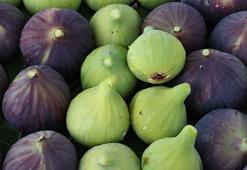 Bakan Yumaklı duyurdu! Bursa siyah inciri AB'den coğrafi işaret tescili aldı