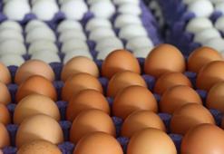 Tarım ve Orman Bakanlığı 'ilaçlı yumurta' iddialarını yalanladı