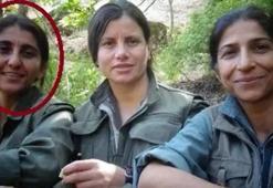 MİT'ten Irak'ın kuzeyinde nokta operasyon! Sözde sorumlu etkisiz hale getirildi