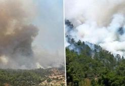 Muğla, İzmir ve Antalya'da orman yangını: Havadan ve karadan müdahale ediliyor