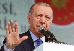 Cumhurbaşkanı Erdoğan: Mangalda kül bırakmayan çevre istismarcıları İstanbul ve İzmir'e ses çıkarmıyor