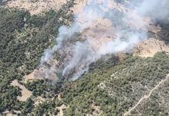 Kaş'ta orman yangını! Müdahale sürüyor