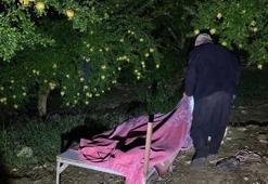 Adana'da tescilli narda çiftçilerin domuz nöbeti