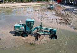 Yosunlar insan boyunu aşıp kötü koku şehri kaplamıştı, temizlik başladı