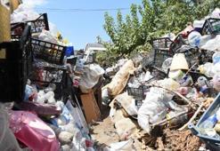 Antalya'da bir gecekondudan 14 kamyon çöp çıkarıldı