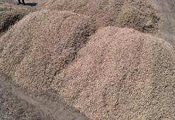 Adana'da sıcak hava fiyatları fena vurdu! Kilosu 31 liraya düştü