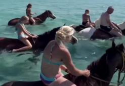 Antalya'da turizm cennetinde skandal etkinlik! Hayvanseverler ayağa kalktı