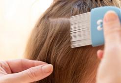 Adana'da okulların açılmasıyla gelen bit sorunu endişelendirdi