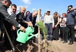 Narinin adı her nefeste yaşayacak! Yüreğir’de ‘Narin’ için hatıra korusu oluşturuldu