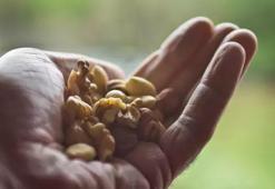 Islatınca faydası kat kat artıyor! Hazımsızlık ve şişkinlik bırakmıyor