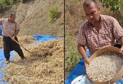 Adana'da lezzeti tescilli Tufanbeyli fasulyesi ilçe sınırlarını aştı