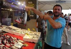 Trabzon'da palamut avı hız kesti