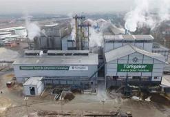 Türkşeker fabrikalarına 1350 personel alımı yapacak!