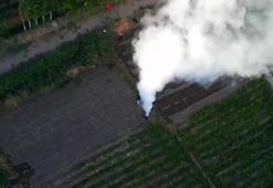 Diyarbakır'da operasyon! 140 milyon lira değerinde Hint keneviri imha edildi