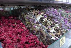 Bitki çayları mevsim geçişlerinde hastalıklardan koruyor