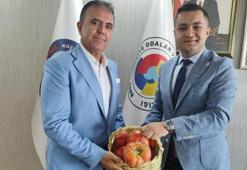 Adana'da Saimbeyli cevizi, üzümü, sumağı ve domatesi tescillenecek
