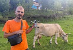 Teknoloji merakını mesleğiyle birleştirdi: Artvin'li çoban merada otlayan ineklerini dronla güdüyor!