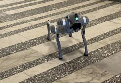 KTÜ’de deprem sonrası hasarlara yapay zeka destekli robotik köpek