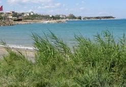 Van Gölü'nün su seviyesi yağışlarla korundu