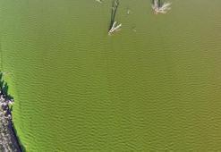 Kars'ta görenler inanamadı! Resmen patlama yaşandı, rengi yeşile döndü