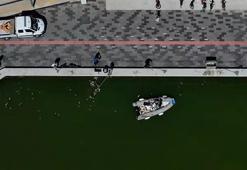 İzmir Körfezi'ndeki balık ölümleri devam ediyor