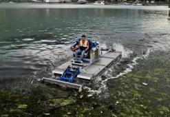 'Saklı Cennet' Ayvacık, yosunlarından arındırıldı! Turistlerin gözdesi konumunda