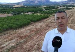Malatya'da üretilen soğanlar Avrupa'ya ihraç ediliyor! Hasat dönemi tamamlandı
