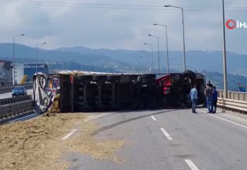 Tır sürücüsünün boynunu sokan arı kazaya sebep oldu
