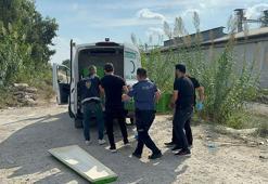 Adana'da sulama kanalında çürümüş ceset bulundu