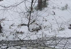 Ailesiyle gittiği kayak merkezinde ölmüştü: Sanığa 45 bin TL para cezası