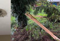 Rize'de yıldırımın vurduğu bölgede hasar oluştu