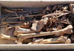 Burdur'da tam 5 bin yıllık iskelet bulundu