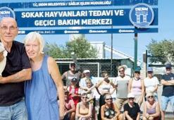 Didim'de sokak köpeklerine yeni hayat! İngiliz çift 200 köpeği tedavi ettirip yurtdışında sahiplendirdi