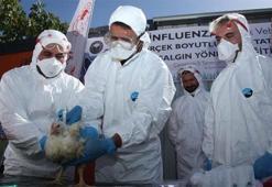 Çanakkale’de kuş gribi tatbikatı yapıldı! 'Sürekli hazırlıklı olmamız gerekiyor'